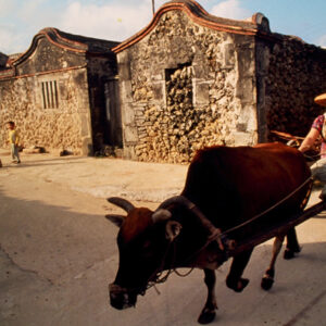 照片資料檔案-MOFA109179CF-2020-12-SL00076-033