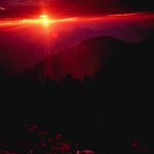 照片資料檔案-MOFA109179CF-2020-12-SL00076-044