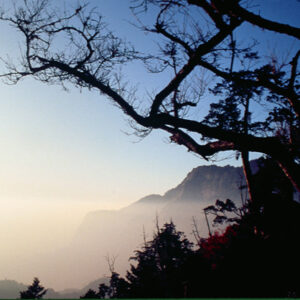 照片資料檔案-MOFA109179CF-2020-12-SL00076-045