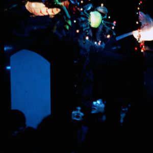 照片資料檔案-MOFA109179CF-2020-12-SL00076-057