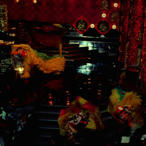 照片資料檔案-MOFA109179CF-2020-12-SL00076-086