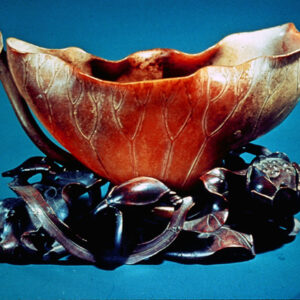 照片資料檔案-MOFA109179CF-2020-12-SL00076-088