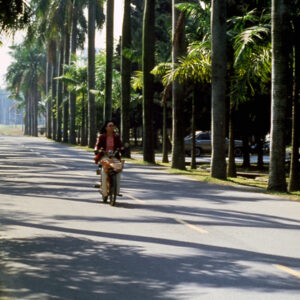 照片資料檔案-MOFA109179CF-2020-12-SL00076-114