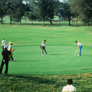 照片資料檔案-MOFA109179CF-2020-12-SL00076-118