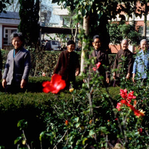 照片資料檔案-MOFA109179CF-2020-12-SL00076-130