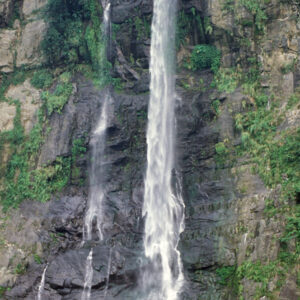 烏來風情畫-MOFA109179CF-2020-12-SL00080-006