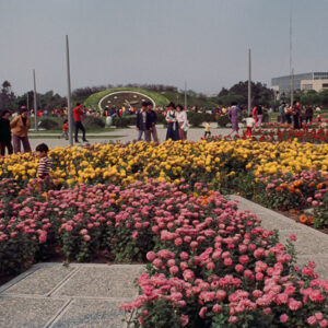 青年公園-MOFA109179CF-2020-12-SL00080-083