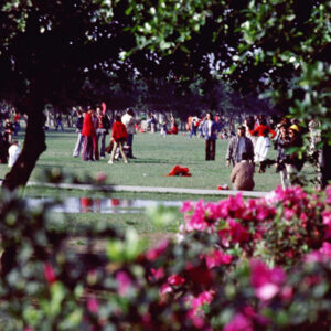 青年公園-MOFA109179CF-2020-12-SL00080-101