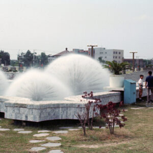 青年公園-MOFA109179CF-2020-12-SL00080-102