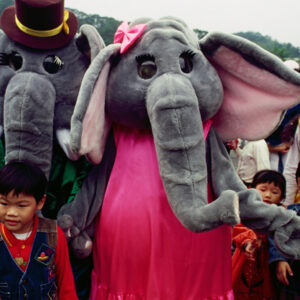 台北市立動物園為大象林旺慶生及寫生活動-MOFA109179CF-2020-12-SL00085-032