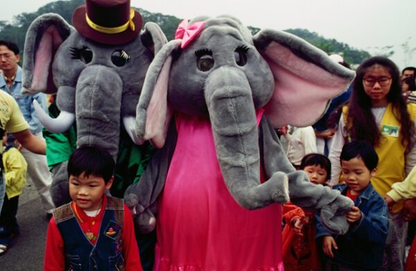台北市立動物園為大象林旺慶生及寫生活動-MOFA109179CF-2020-12-SL00085-032