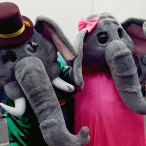 台北市立動物園為大象林旺慶生及寫生活動-MOFA109179CF-2020-12-SL00085-033