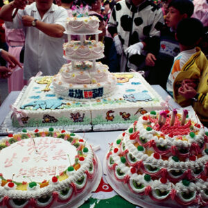 台北市立動物園為大象林旺慶生及寫生活動-MOFA109179CF-2020-12-SL00085-035