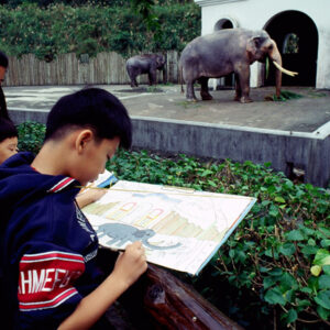 台北市立動物園為大象林旺慶生及寫生活動-MOFA109179CF-2020-12-SL00085-036