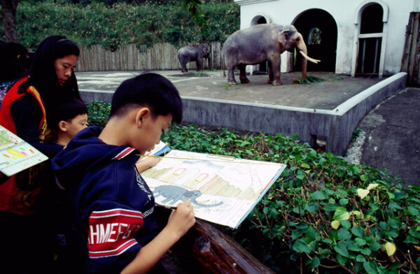 台北市立動物園為大象林旺慶生及寫生活動-MOFA109179CF-2020-12-SL00085-036
