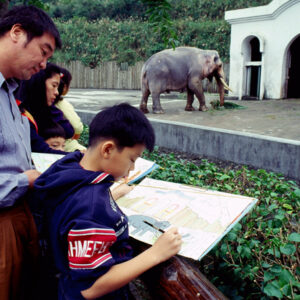 台北市立動物園為大象林旺慶生及寫生活動-MOFA109179CF-2020-12-SL00085-039