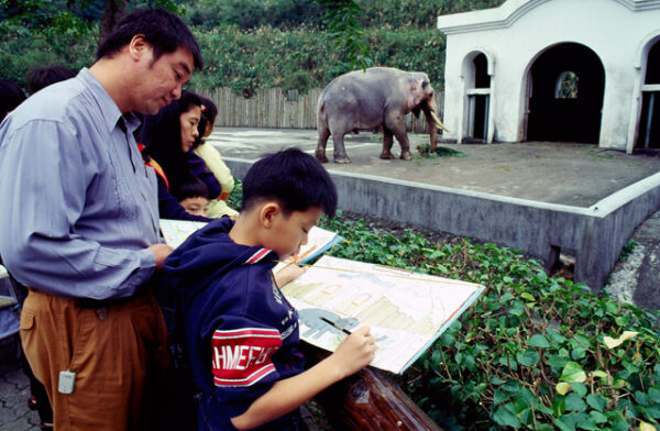 台北市立動物園為大象林旺慶生及寫生活動-MOFA109179CF-2020-12-SL00085-039