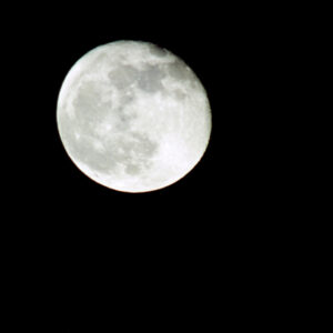 月亮-MOFA109179CF-2020-12-SL00086-061