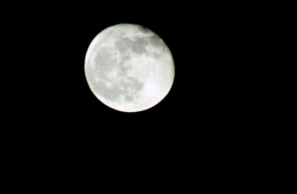 月亮-MOFA109179CF-2020-12-SL00086-061