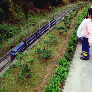 小人國-MOFA109179CF-2020-12-SL00088-163