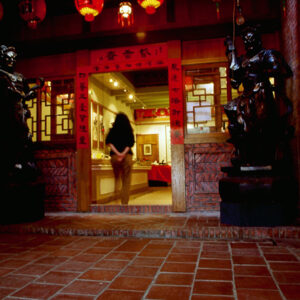 彰化民俗文化村-MOFA109179CF-2020-12-SL00090-025