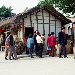 彰化民俗文化村-MOFA109179CF-2020-12-SL00090-084