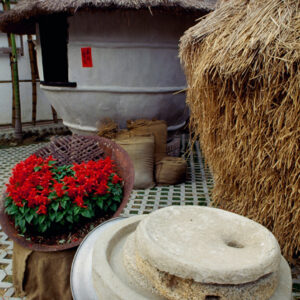 彰化民俗文化村-MOFA109179CF-2020-12-SL00090-105