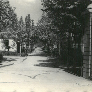 武嶺學校-照片冊-MOFA109179CF-2020-12-PH00011-141