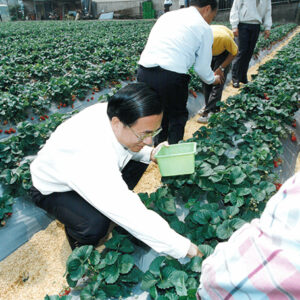 陳水扁總統於苗栗大湖關心草莓產銷情形-陳水扁總統活動照片-MOFA109179CF-2020-12-PH00029-021