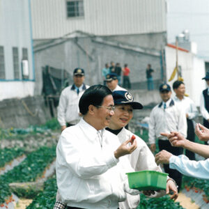 陳水扁總統於苗栗大湖關心草莓產銷情形-陳水扁總統活動照片-MOFA109179CF-2020-12-PH00029-024