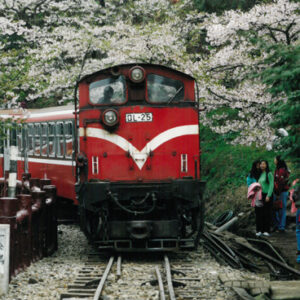 阿里山森林小火車-八十七年巴拉圭展及紐俄展樣片-MOFA109179CF-2020-12--PH00037-021