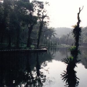 福山植物園-八十七年巴拉圭展及紐俄展樣片-MOFA109179CF-2020-12--PH00037-037