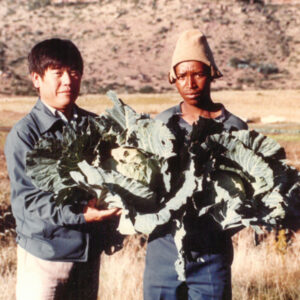 中華民國農技師與馬拉威農夫就收成之高麗菜一同合照 Chinese agriculturalist and Malawi farmer showing their harvest-外交-MOFA109179CF-2020-12-PH00039-060