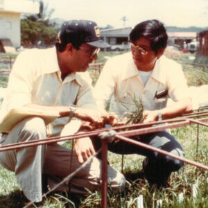 中華民國農技師教導多明尼加農夫稻米種植 Chinese agricultural specialist dicussing with Dominica farmer on rice plantotion-外交-MOFA109179CF-2020-12-PH00039-062