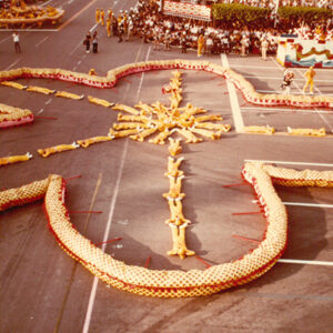 七十一年國慶民間遊藝表演-國慶-MOFA109179CF-2020-12-PH00041-007