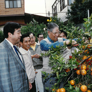 總統訪本年傑出青年農民陸桂森-李總統照片冊-MOFA109179CF-2020-12-PH00109-101