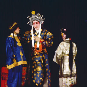 國劇-MOFA109179CF-2020-12--SL00004-056