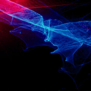 翻拍雷射-MOFA109179CF-2020-12--SL00007-024