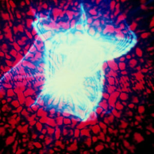 翻拍雷射-MOFA109179CF-2020-12--SL00007-028