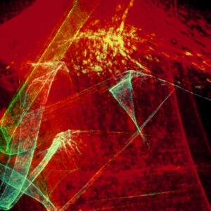 翻拍雷射-MOFA109179CF-2020-12--SL00007-029