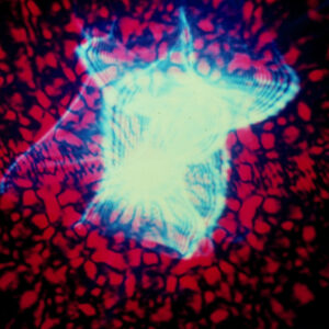 翻拍雷射-MOFA109179CF-2020-12--SL00007-032