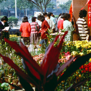 春節景-MOFA109179CF-2020-12--SL00017-061