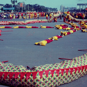 春節舞龍舞獅-MOFA109179CF-2020-12--SL00017-097