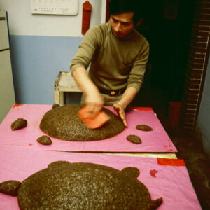 春節活動-MOFA109179CF-2020-12--SL00017-154