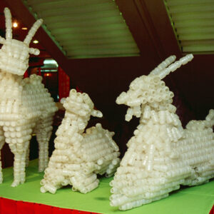 廢物利用-MOFA109179CF-2020-12--SL00021-019