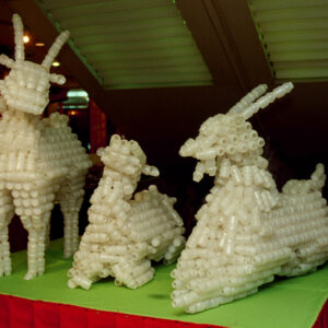 廢物利用-MOFA109179CF-2020-12--SL00021-026