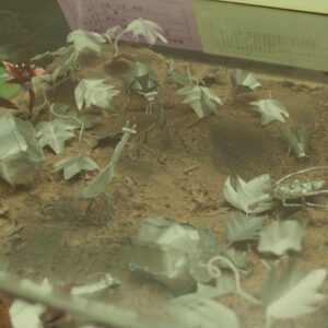 廢物利用-MOFA109179CF-2020-12--SL00021-029