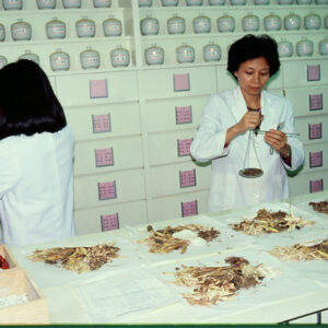 針灸-MOFA109179CF-2020-12--SL00023-025