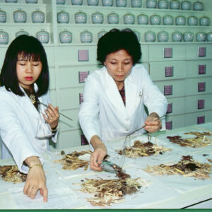 針灸-MOFA109179CF-2020-12--SL00023-026