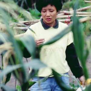 -好照片-MOFA109179CF-2020-12-SL00027-082